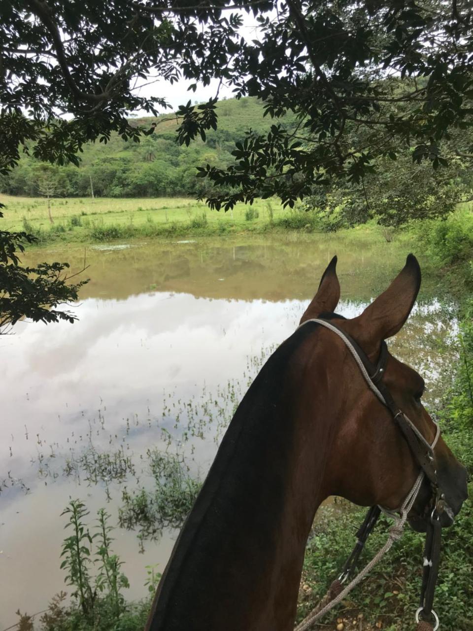 Fazenda Quinta Da Esperança- E Lazer
